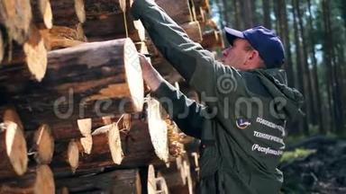 砍伐树木是由木工测量的